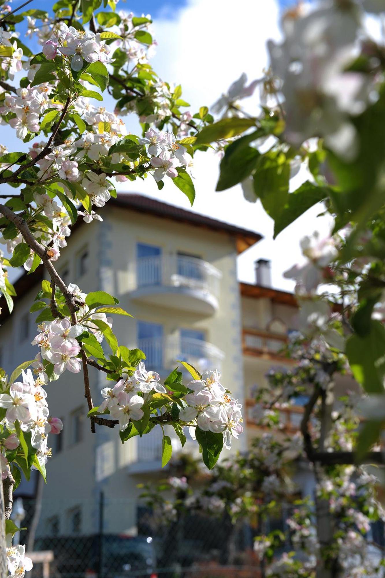 Residenze Mathilda Hotel Silandro Luaran gambar